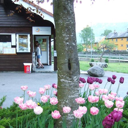 Flam Camping & Cabins Esterno foto