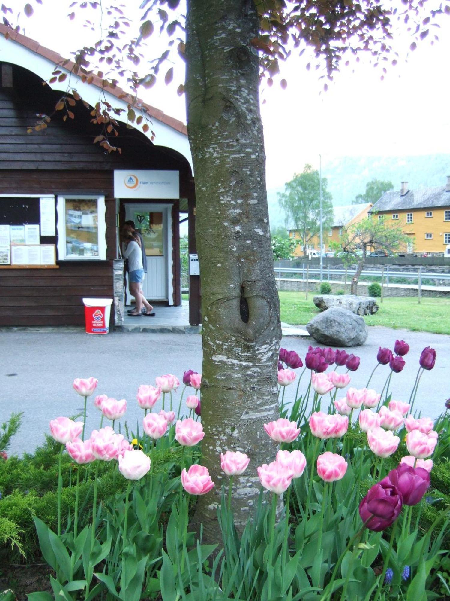 Flam Camping & Cabins Esterno foto